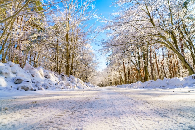 Strada in inverno, Giappone