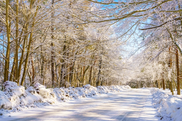 Strada in inverno, Giappone