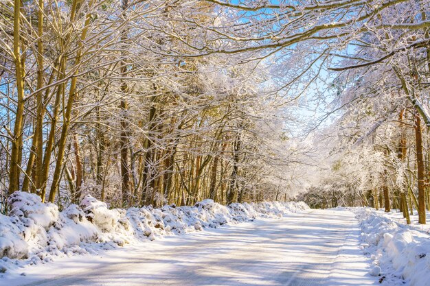 Strada in inverno, Giappone