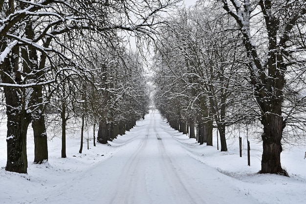 Strada in inverno Sentiero di montagna innevato per un'auto Concetto per viaggiare e guidare in sicurezza in inverno in auto