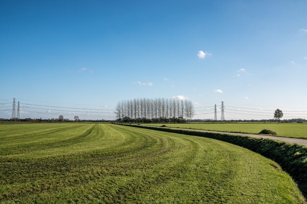 Strada in mezzo a un campo erboso con alberi spogli in lontananza sotto un cielo blu