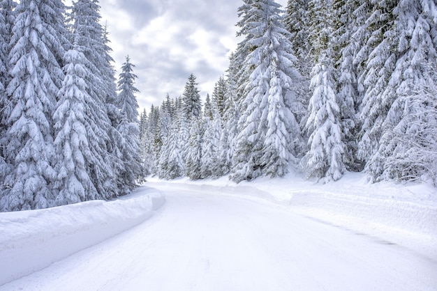 Strada in una stazione sciistica di montagna circondata da abeti