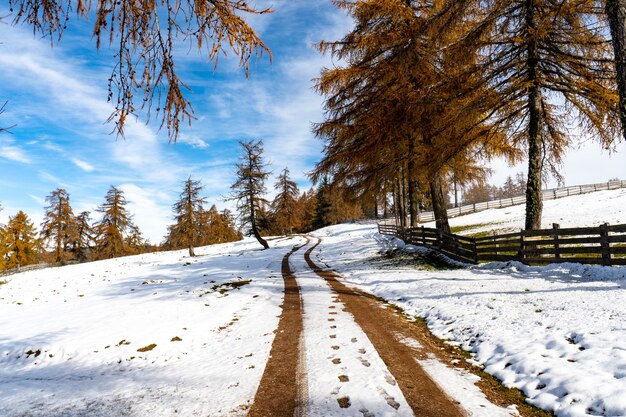 Strada innevata in Alto Adige, Dolomiti, Italy