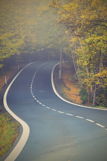 &quot;Strada nella foresta autunnale&quot;