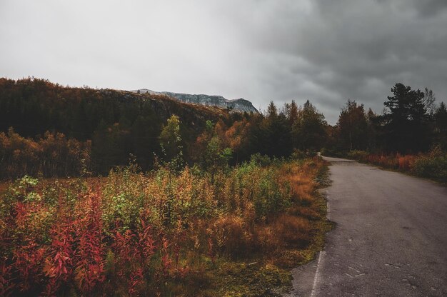 Strada per le montagne scandinave nel parco nazionale mozzafiato in una cupa giornata autunnale.