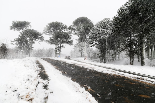 Strada ricoperta di neve sciolta in inverno