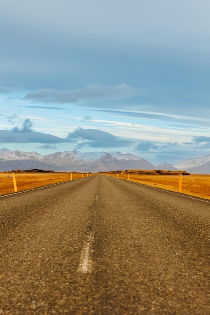 Strada solitaria nel paesaggio islandese