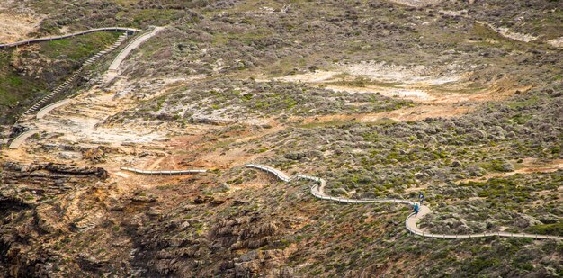 Strada sulle rocce ricoperta di verde sotto la luce del sole durante il giorno - fresca per gli sfondi