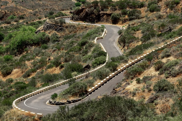 Strada tropicale con sfondo del deserto