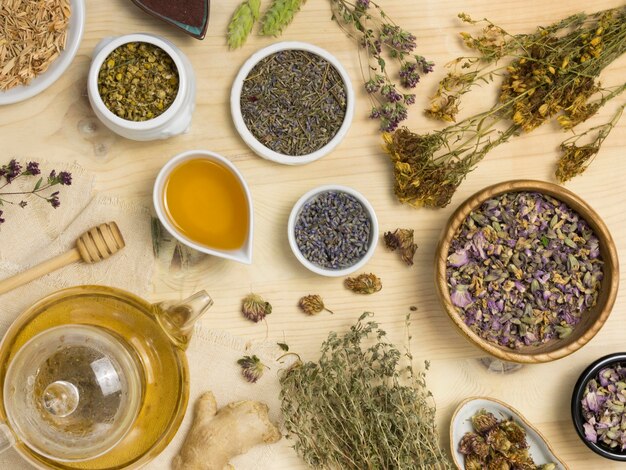 Strato piatto di spezie e erbe medicinali naturali
