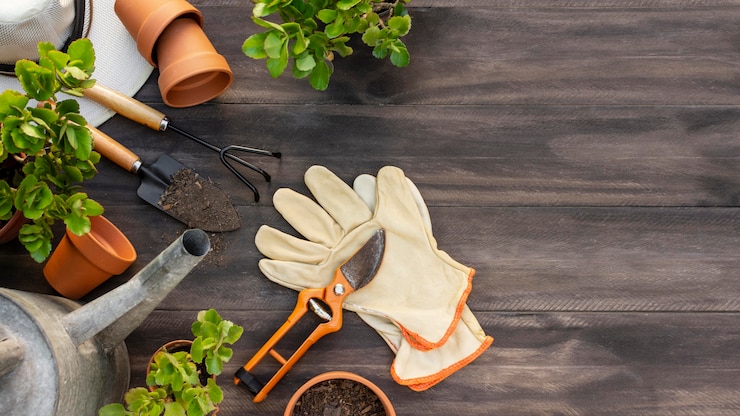 Foto gratuito strumenti da giardinaggio da vicino