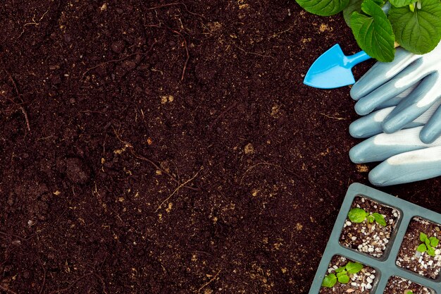 Strumenti e piante di giardinaggio piani di disposizione su terreno con lo spazio della copia