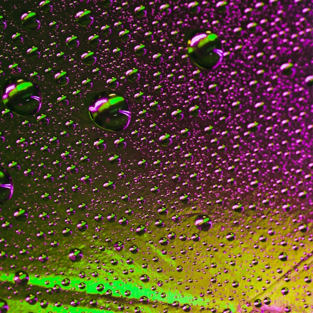 Struttura bagnata verde e viola astratta con le bolle sulla superficie di vetro di finestra