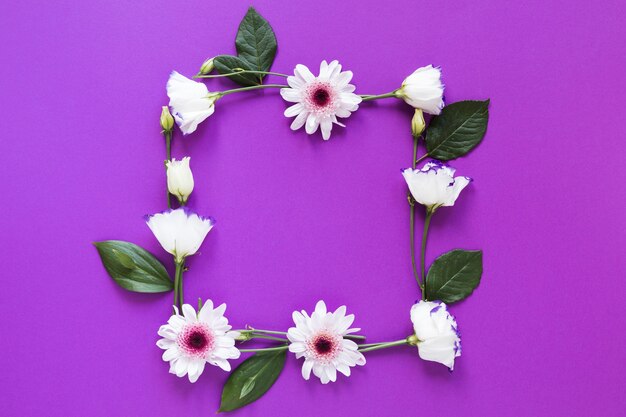 Struttura dei fiori e delle foglie della primavera su fondo viola