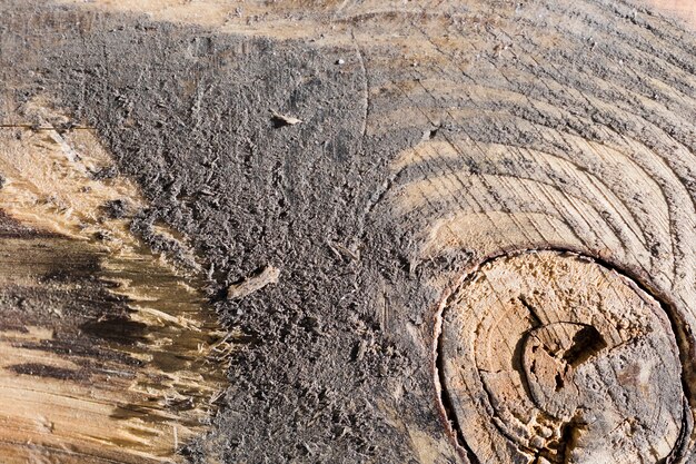 Struttura del legno alto vicino