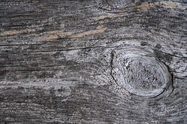 Struttura di legno di legno con nodo per sfondo e texture.