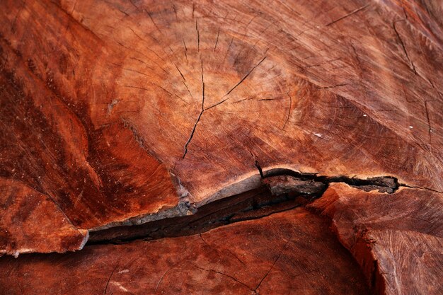 Struttura di legno