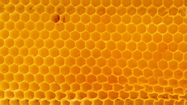 Struttura gialla a nido d'ape