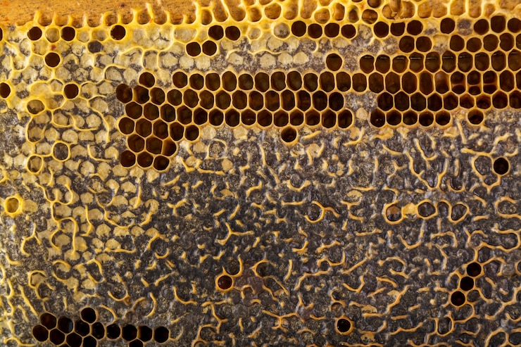 Foto gratuito struttura gialla a nido d'ape