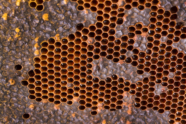 Foto gratuito struttura gialla a nido d'ape