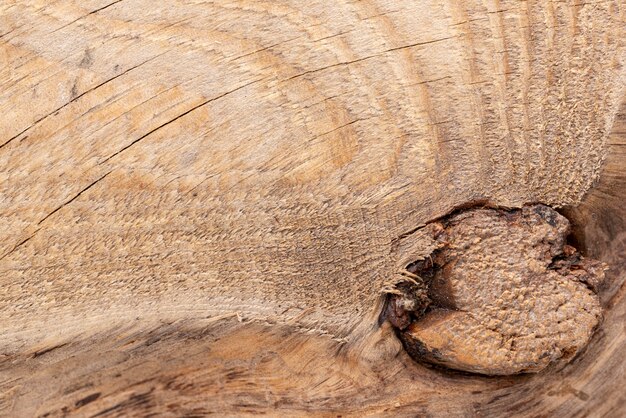 Struttura piatta in legno naturale