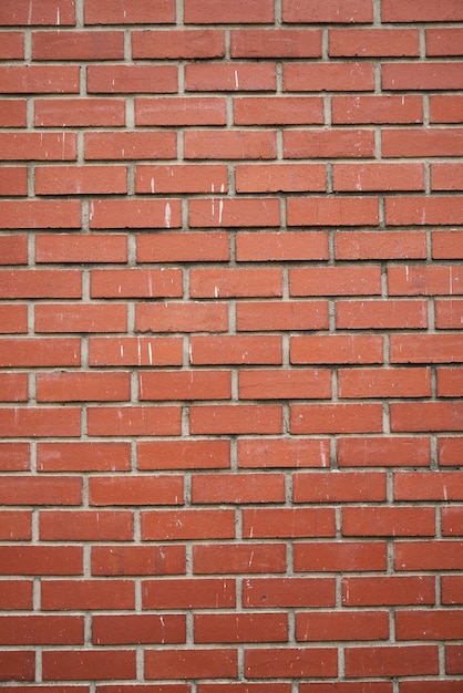 struttura verticale di un muro di mattoni