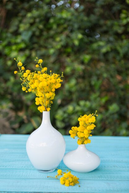 superficie blu con vasi e fiori gialli