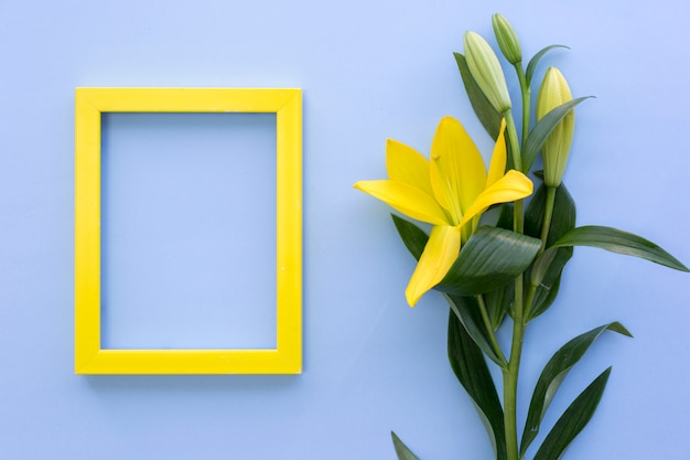 Svuoti la struttura gialla della foto con i fiori del giglio sulla superficie del blu