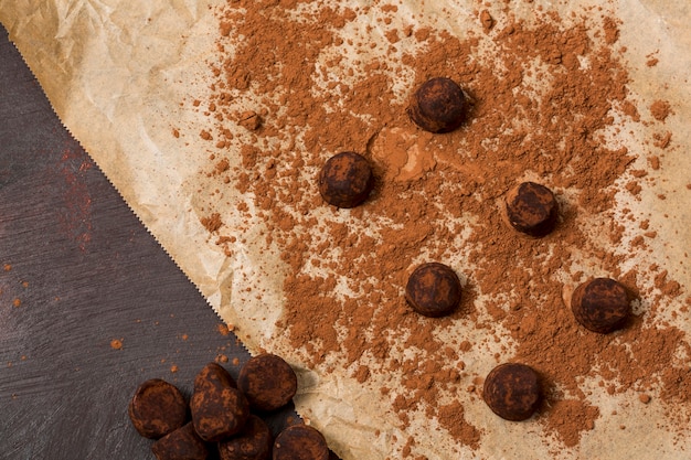 Tartufo al cioccolato in polvere di cacao