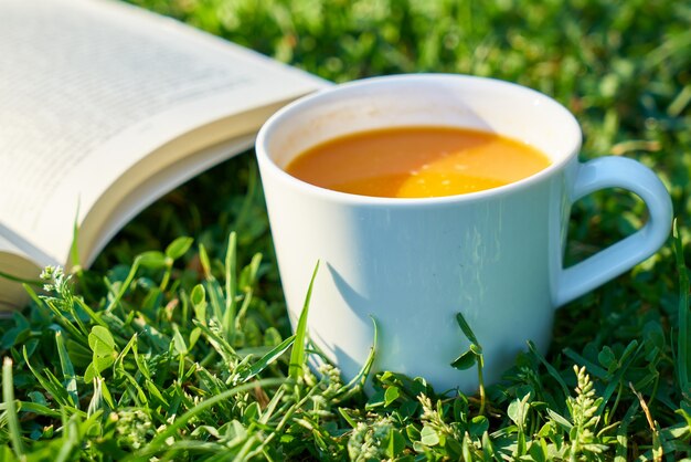 Tazza di caffè con un libro aperto accanto ad essa sul prato
