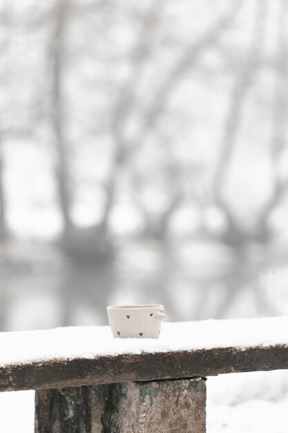 Tazza di tè a lungo termine in inverno