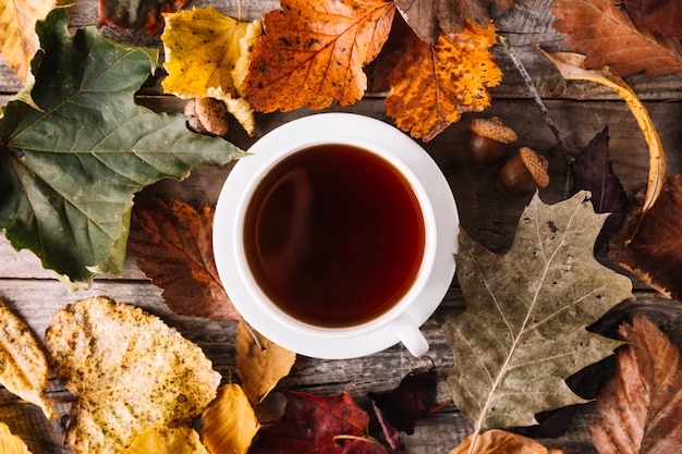 Tazza di tè in decorazione autunnale