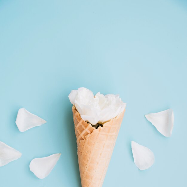 Tazza di wafer con fiore bianco vicino ai petali