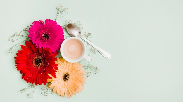 Tazza e cucchiaio di caffè con la decorazione del fiore della gerbera su fondo colorato