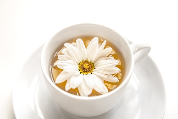 Tè del primo piano con il fiore della camomilla isolato su bianco.