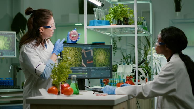 Foto gratuito team medico che discute sulla capsula di petri con carne vegana che analizza ogm