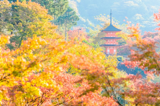 Tempio di dera di Kiyomizu a Kyoto al Giappone