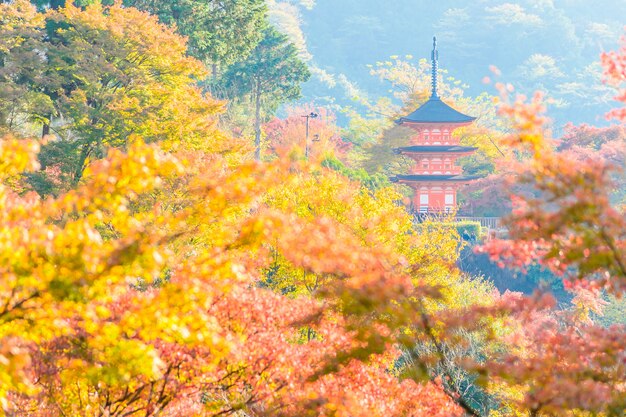 Tempio di dera di Kiyomizu a Kyoto al Giappone
