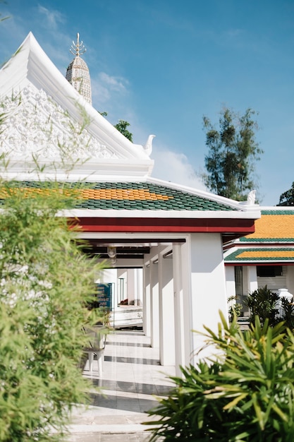 tempio tailandese bianco e albero
