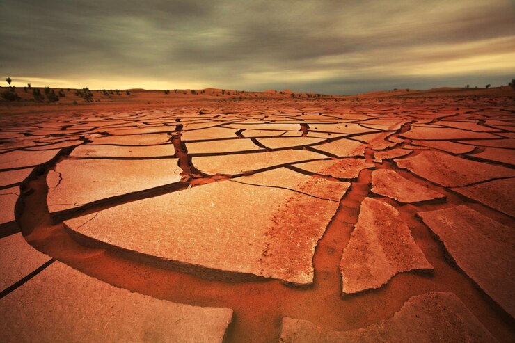Terra di siccità