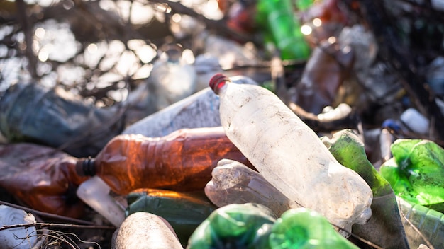 Terreno disseminato di bottiglie di plastica