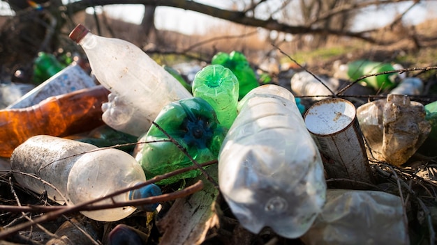 Terreno disseminato di bottiglie di plastica