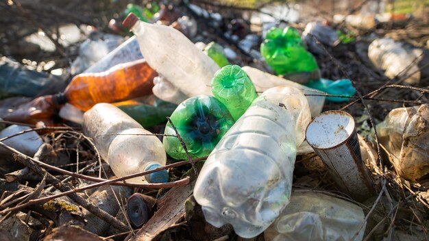 Terreno disseminato di bottiglie di plastica