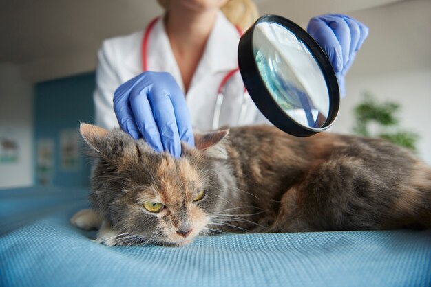 Test medico con uso della lente d'ingrandimento