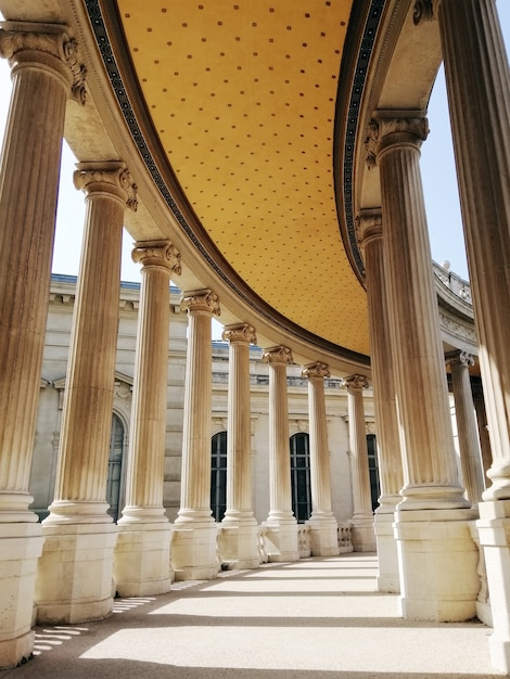 Tetto e colonne del Museo di Storia Naturale di Marsiglia sotto la luce del sole in Francia