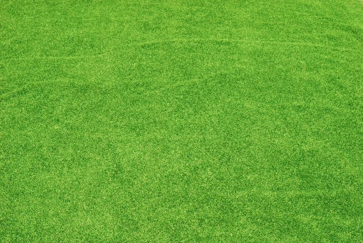 Foto gratuito texture di erba verde