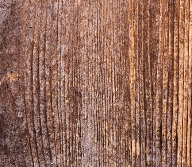 Texture di legno di corteccia con vecchio modello naturale