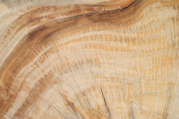 Texture di parete di legno