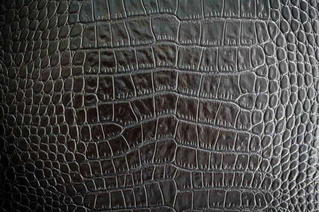 Texture in pelle nera