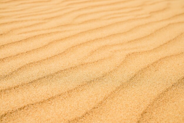 Texture sabbiosa sulla spiaggia, costa del Mar Nero. Vista dall'alto delle dune di sabbia della spiaggia astratte per lo sfondo dell'insegna estiva.